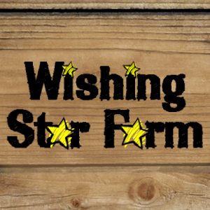 /shared/superadmin/content/images/dynamic/deal/9003514/offer-image-9003514-mudz3SReAP-1569253269.png